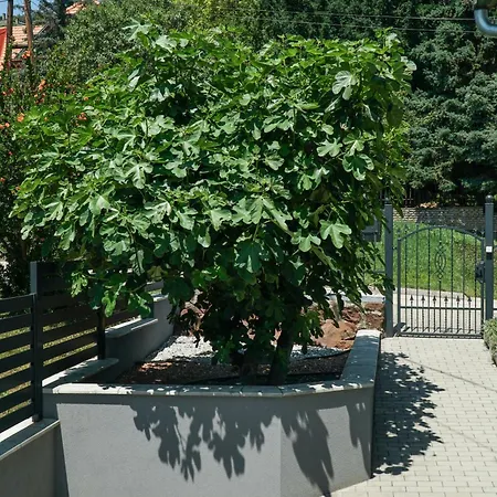 Fuegefa Apartment Balatonalmadi
